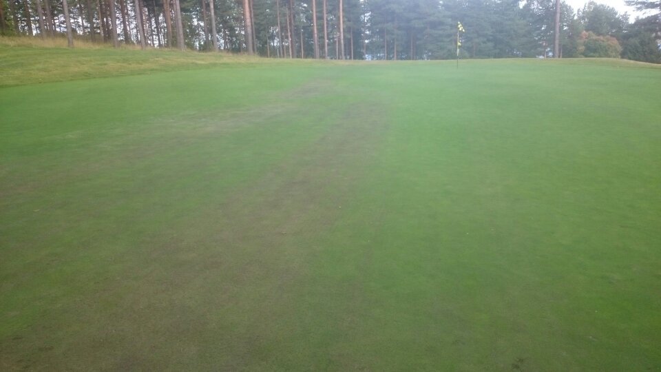 Huoltohalli's tweet photo. Remember the pressure. Iron fist dammit. F....k myself.#greenkeeper #kytajagolf #southeastcourse #finnishgolfcourse #fertilizerspraying https://t.co/WIJZAMhsx6