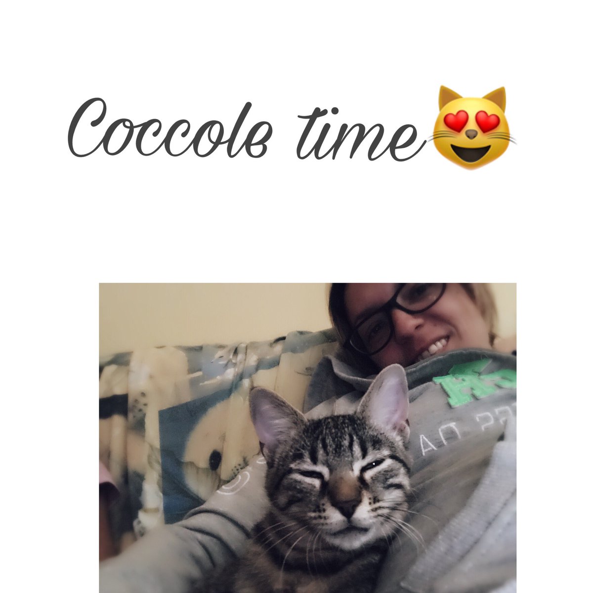 AgaccioBarbara's tweet photo. Figaro 😍😍😍! #cat#love https://t.co/45lM4tpeEF
