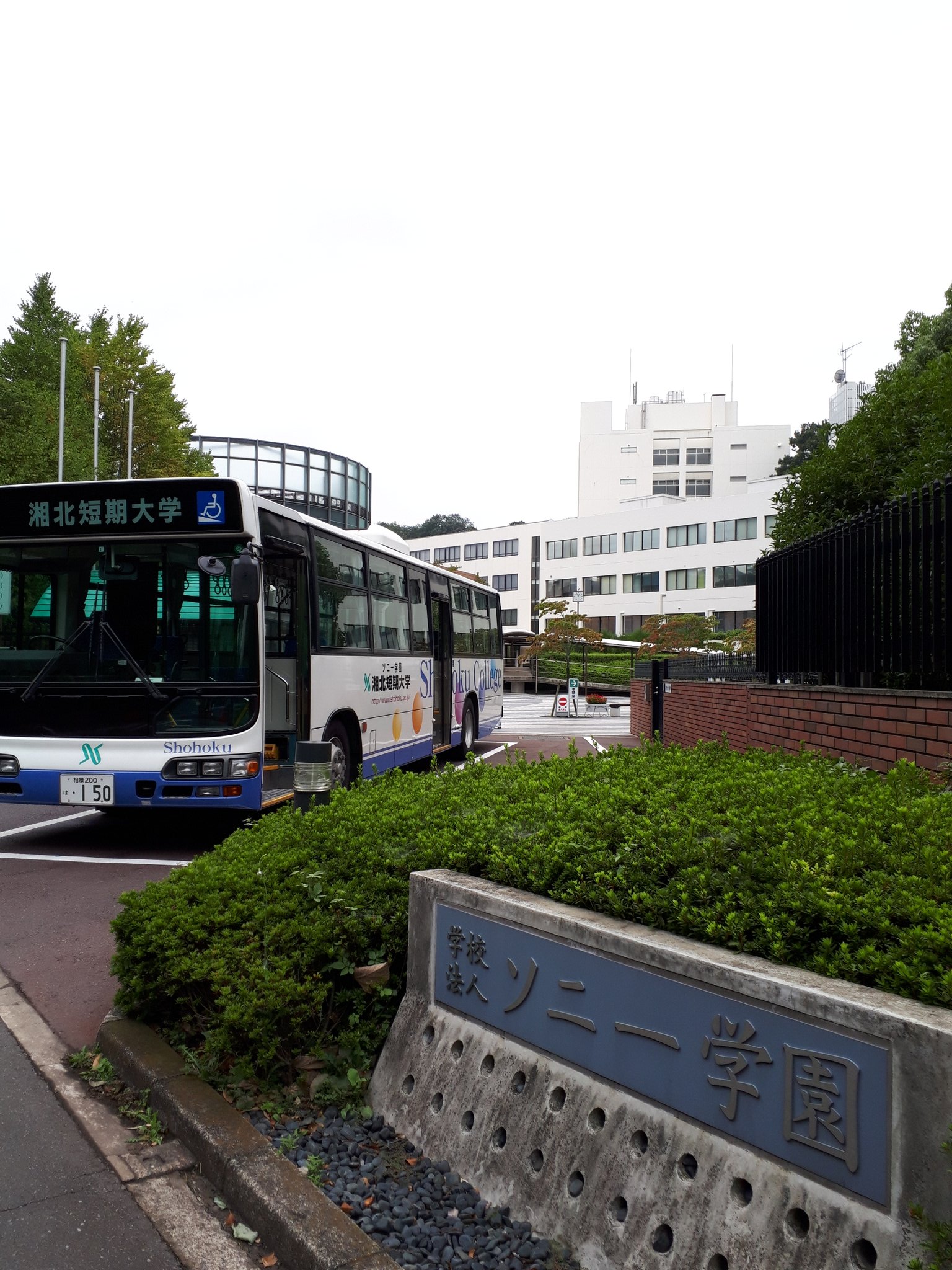 ট ইট র ささきくみこ 小田急線本厚木駅近くの 湘北短期大学にて 就活のお芝居させていただきました Y 台本は学校の先生の作品 ８月は 湘南ビタミンプロジェクト で湘南台まで通っていたので 小田急線慣れしてます るる 帰り道に ロマンスカー