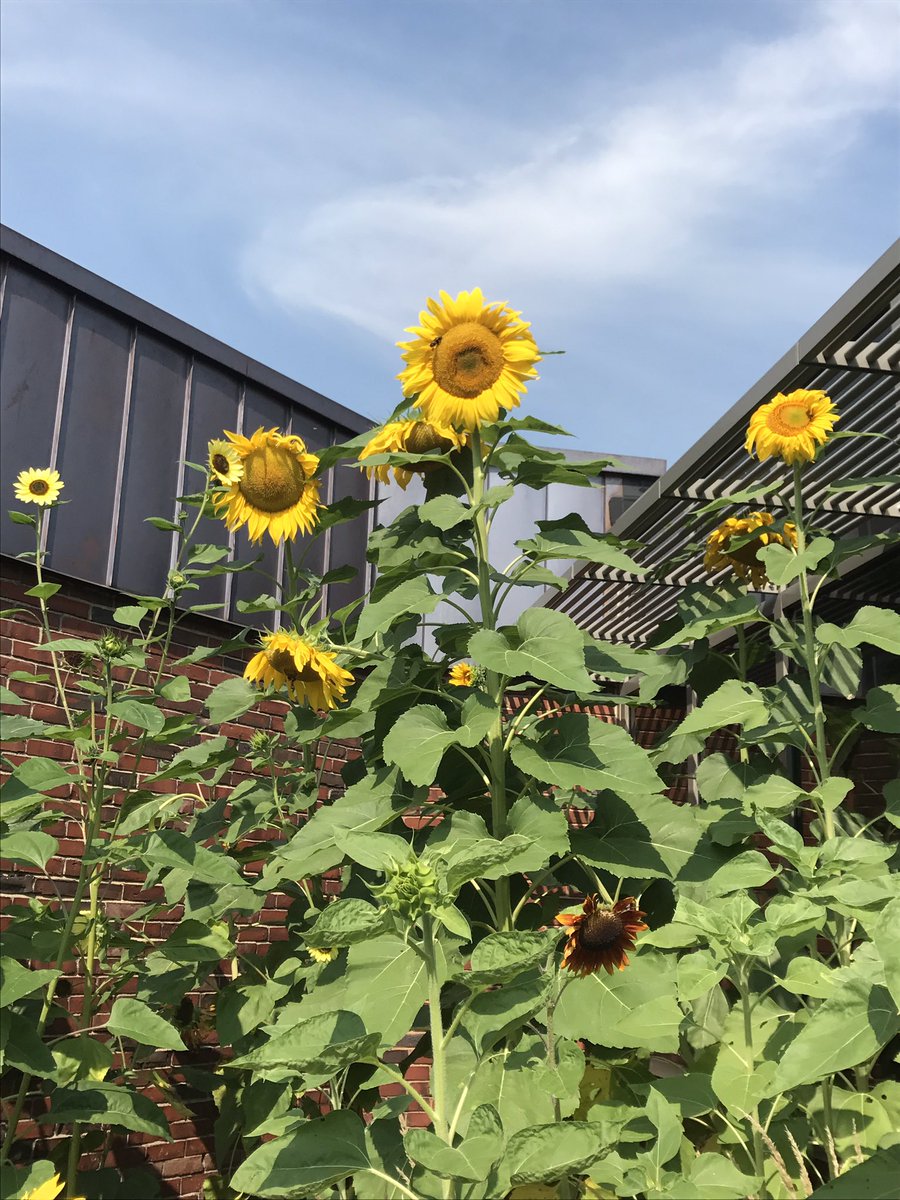 Welcome to Miller-Driscoll - have an amazing school year! #wiltonwayct