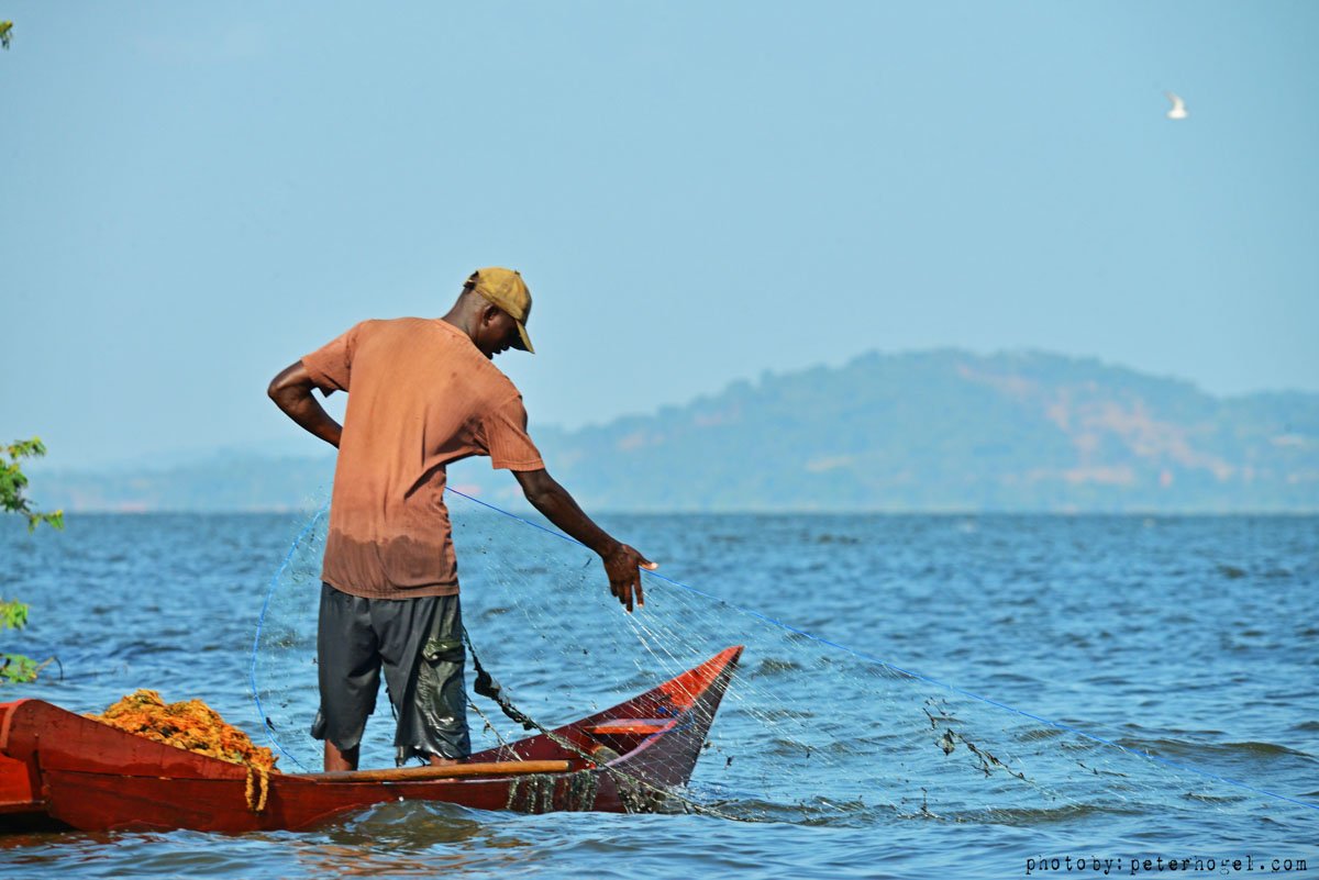 EdenAdventureug's tweet photo. Fishing is one of the major economic activities in Uganda which is  mainly carried out in open water sources filled with  variety of species https://t.co/EBYPKPmyUH