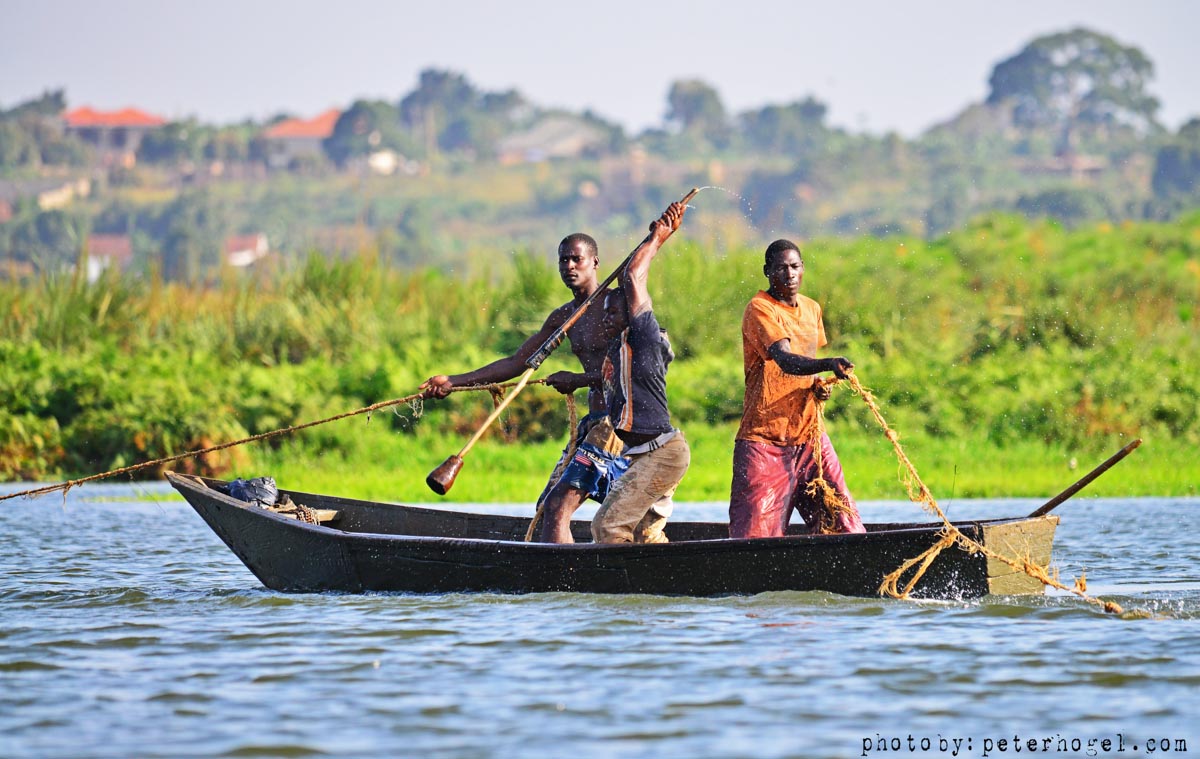 EdenAdventureug's tweet photo. Fishing is one of the major economic activities in Uganda which is  mainly carried out in open water sources filled with  variety of species https://t.co/EBYPKPmyUH