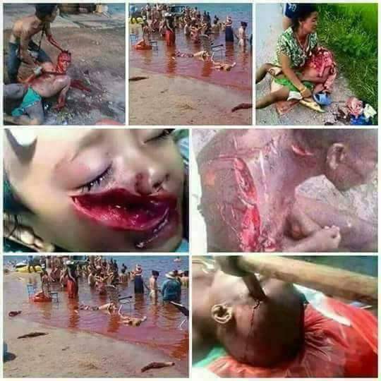 Weerzinwekkende beelden uit Myanmar van geweld tegen de Rohingya
Waar blijft de VN-veiligheidsraad!? #Rohingya #RohingyaGenocide