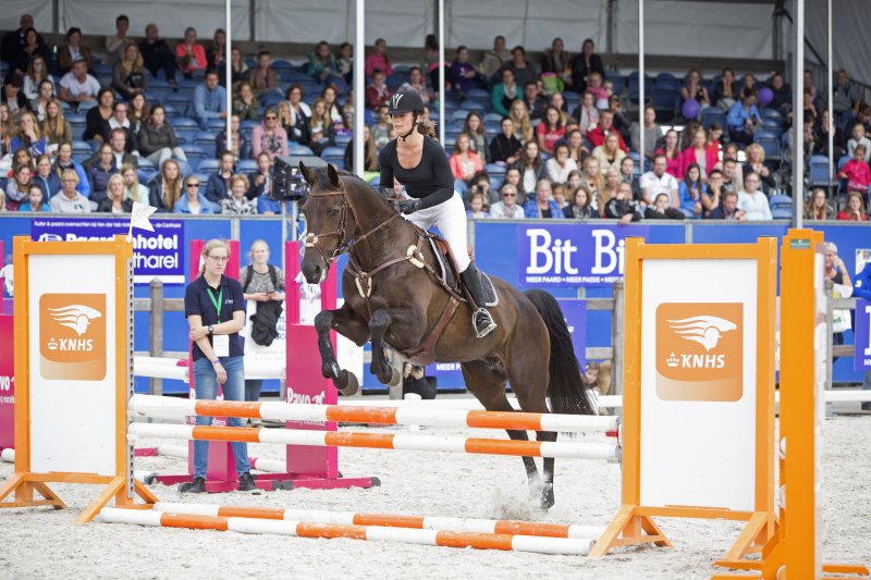 De deelnemers voor de demonstratiewedstrijd van Luc Steeghs zijn bekend! bit.ly/2iWbszB #horseevent