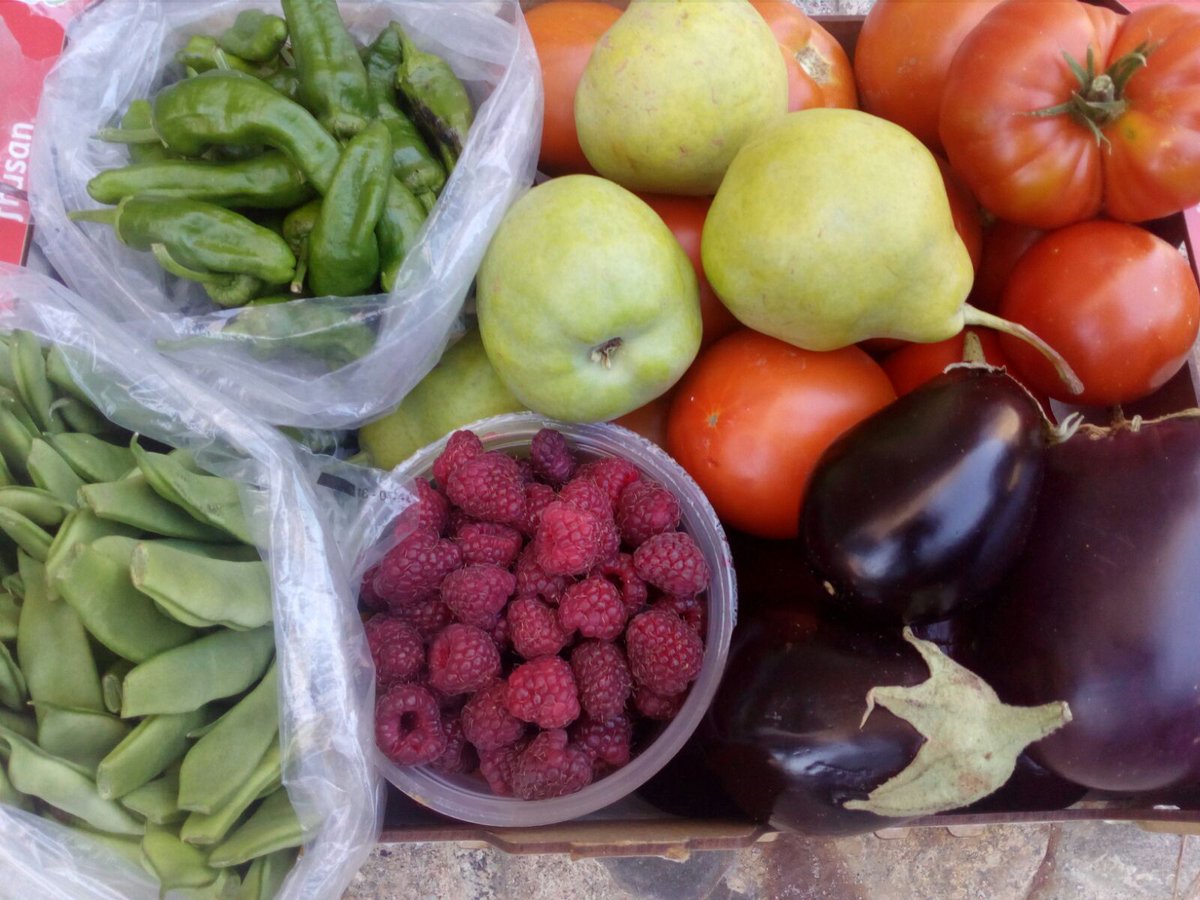 HuertaCorneja's tweet photo. Quien tiene una #huerta, tiene un #tesoro. #Alimentación, #frutas, #verduras https://t.co/fXJPtWHlf6