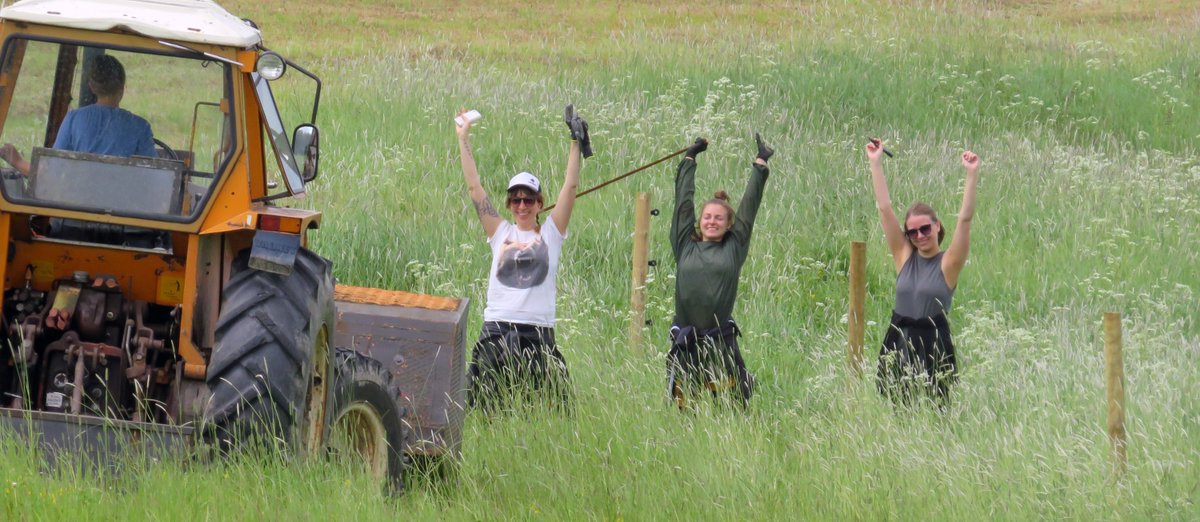 wolfactiongroup's tweet photo. The voting is open on YEE for our fencing project to protect wolves and rescue animals @Esk_Tuulispaa . Entry #14! https://t.co/j3PnzRGksl … https://t.co/i05X7lRaT8