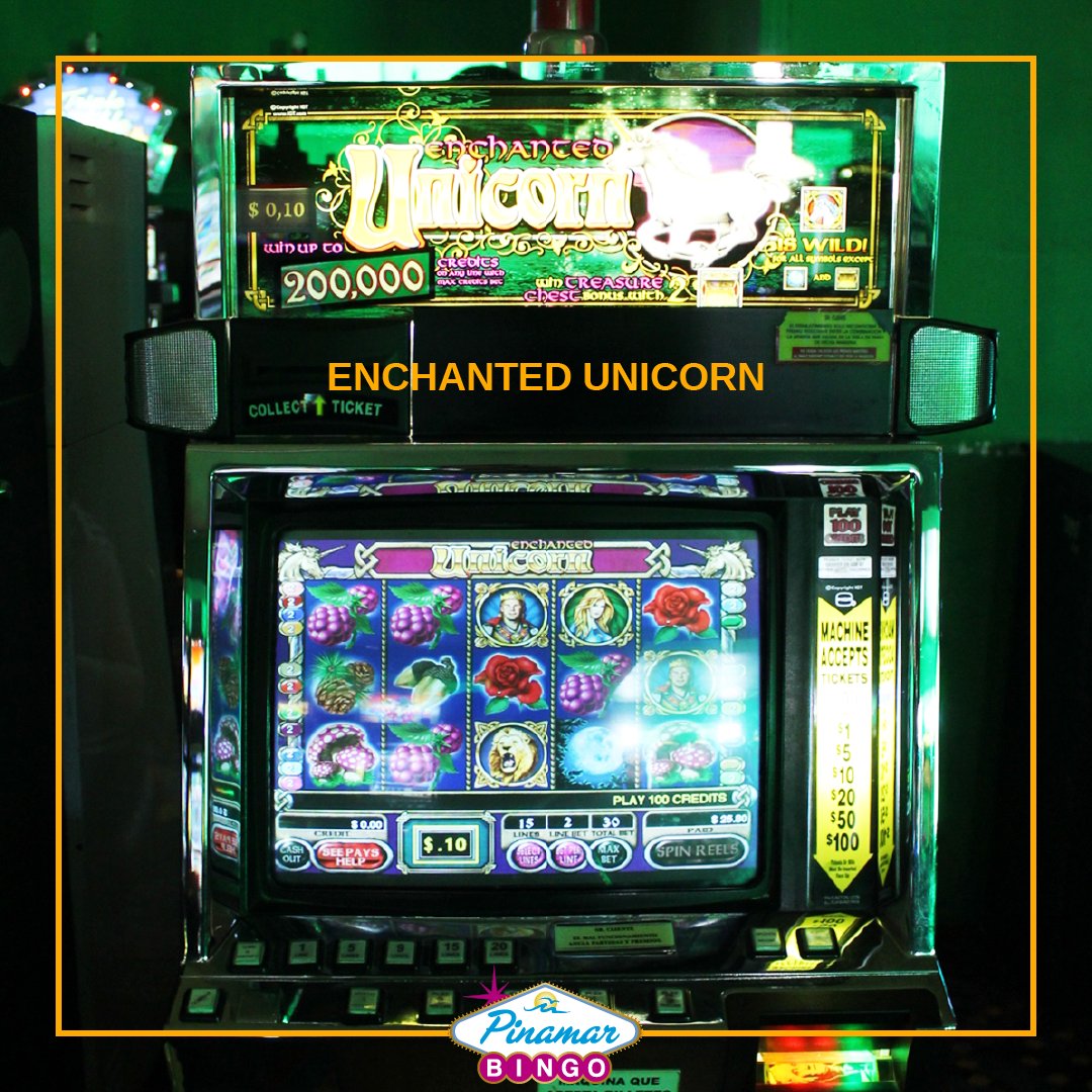 BingoPinamar's tweet photo. El martes lo vivís con nuestro divertido Slot Enchated Unicorn en Bingo Pinamar
#EnchantedUnicorn #BingoPinamar https://t.co/Sgpi3TBYYC