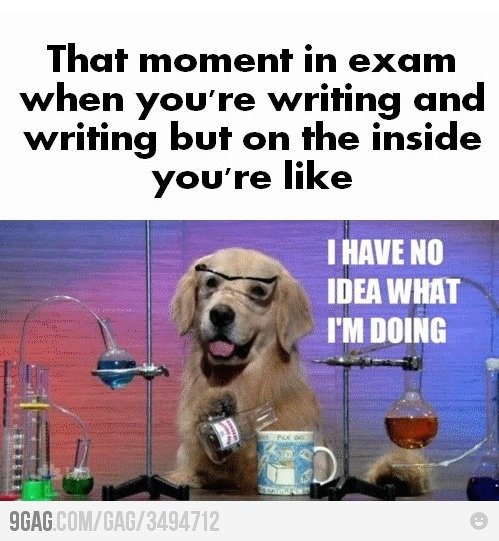 _shrnshn's tweet photo. Midterm Feels
#Cicuits π«π»β‘οΈ https://t.co/tB0a5oGbfM