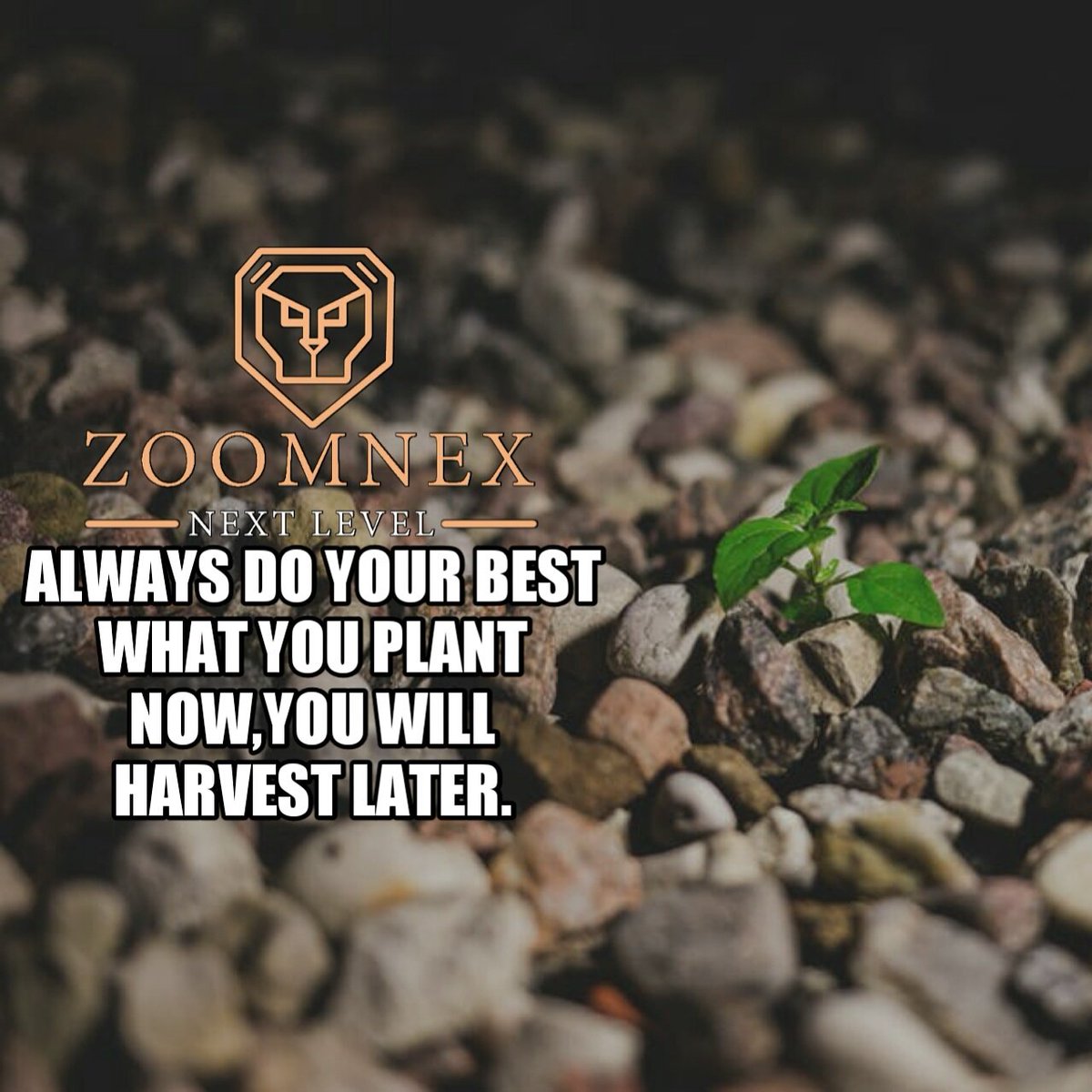 ZoomNex's tweet photo. https://t.co/2PrNbGK52r