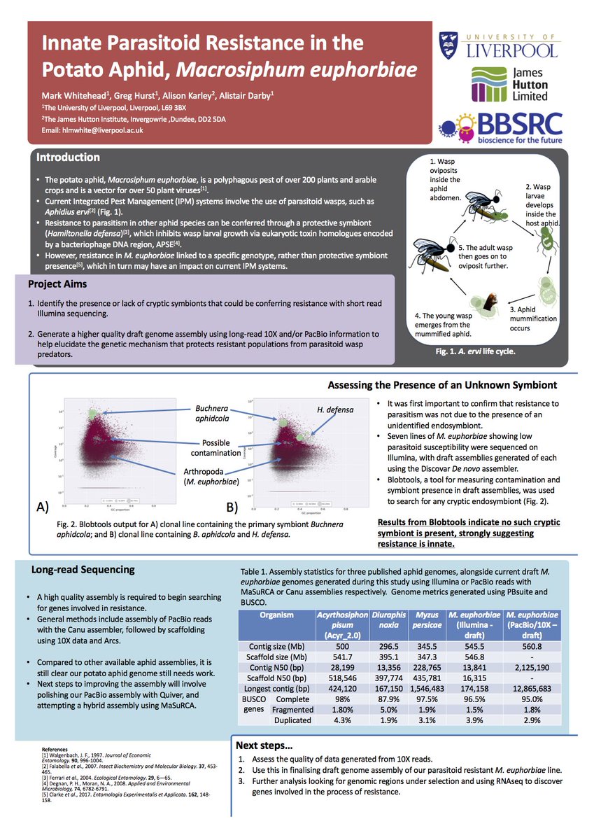 PotatoAphidMan's tweet photo. @drmikeographer @FHLSPGR @livuniIIB Hope thats alright?  happy to answer any other questions you have :) https://t.co/UPtS0T8pzh