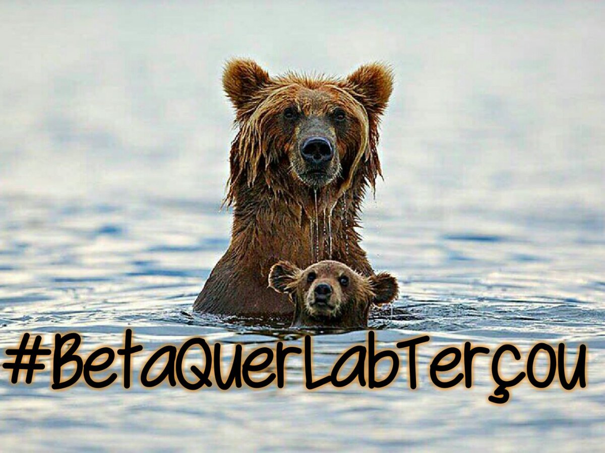 Bom dia amigos,que cada nova manhã nasce junto uma nova chance,tenham todos um dia maravilhoso e abençoado🙏
#BetaQuerLab
#BetaQuerLabTerçou