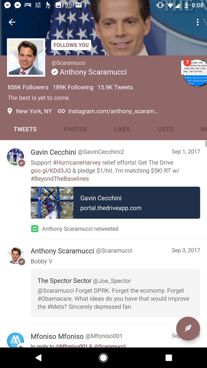 BartRhett's tweet photo. @BurntBoats The Mooch must love #BUTwitter https://t.co/khPI4TXkk5