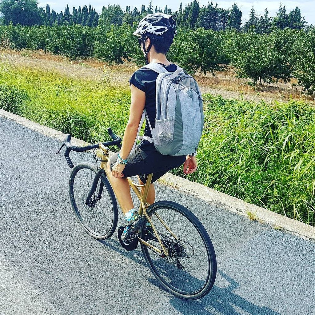 pendix electric kit for brompton