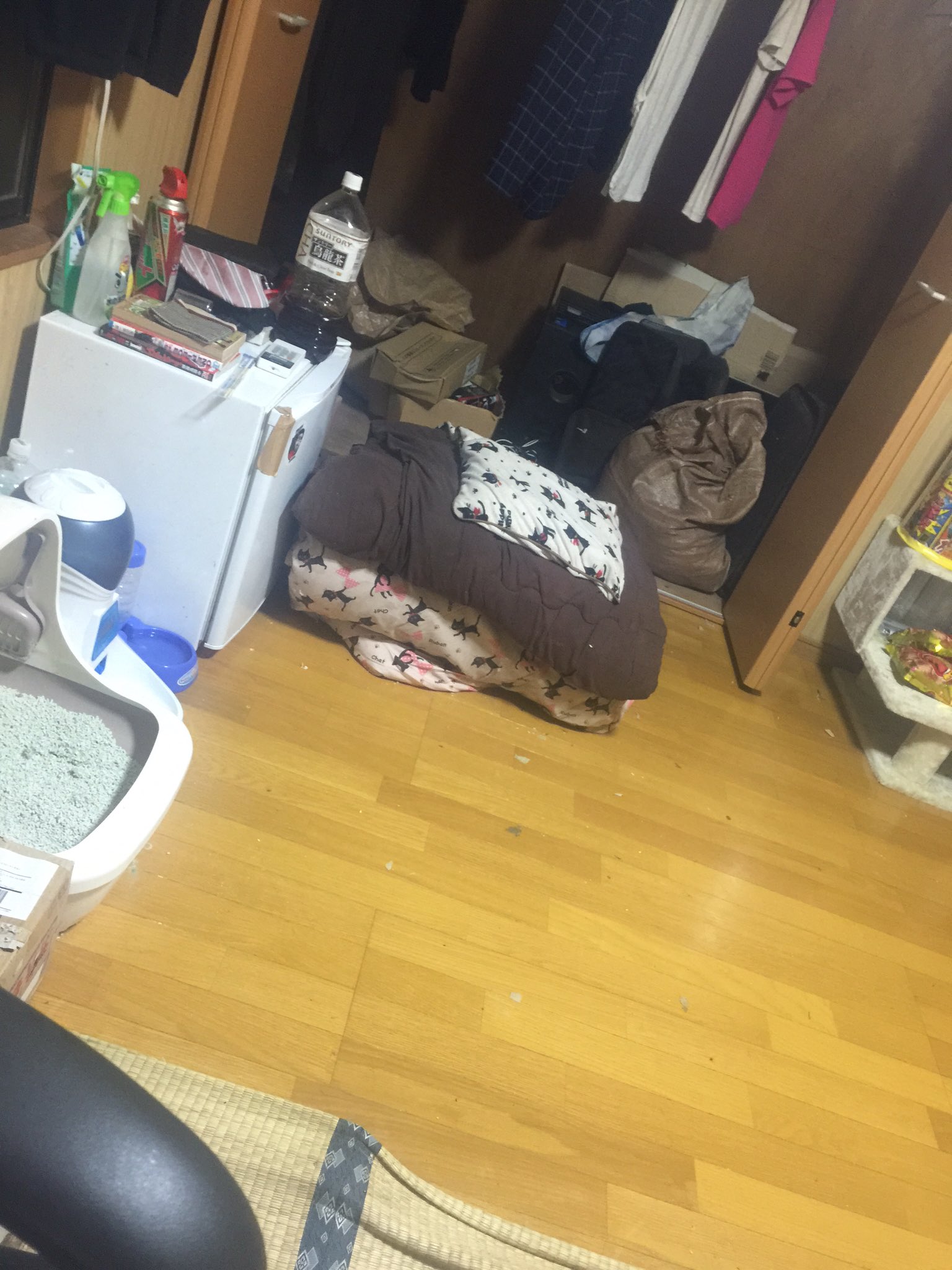 森 義之 よっさん On Twitter 引っ越して1ヶ月 綺麗な方かな つ Https T Co Mhckxywddy Twitter