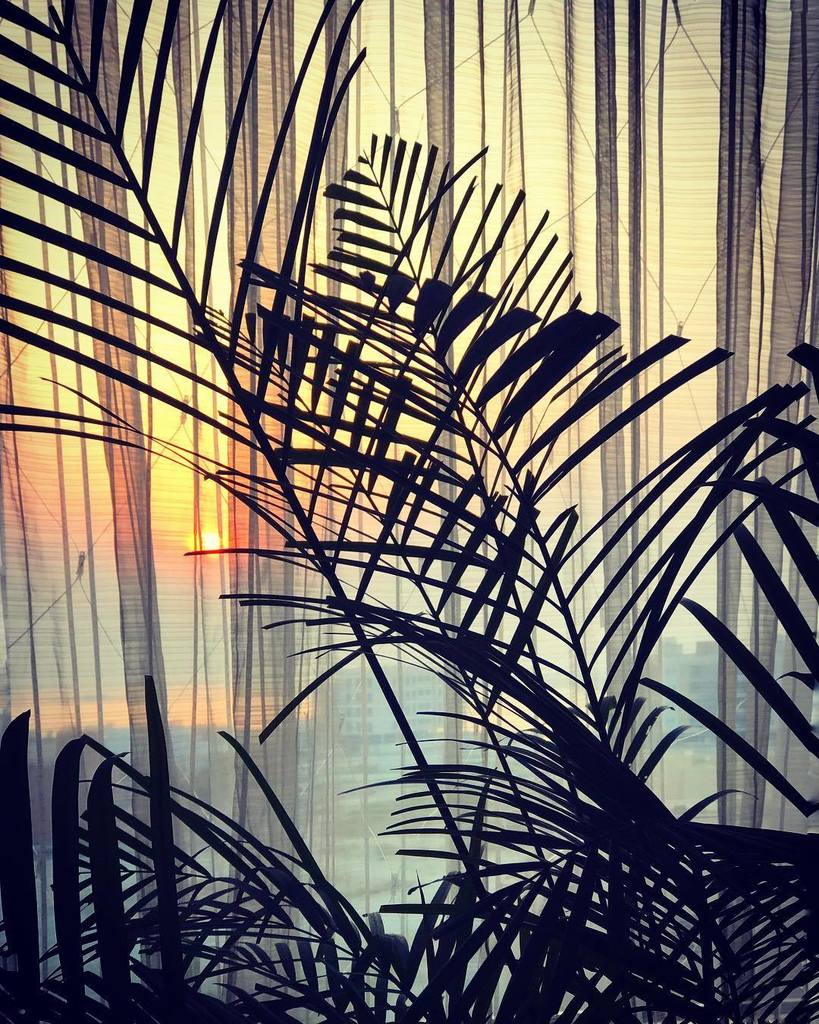 angeli_de's tweet photo. The end of another day .. #sunset #awindowwithaview #silhouette #sky #skyporn #antaheen #endlesswaiting #colours #… https://t.co/inpvwoRbBU https://t.co/UUTpFpz67N