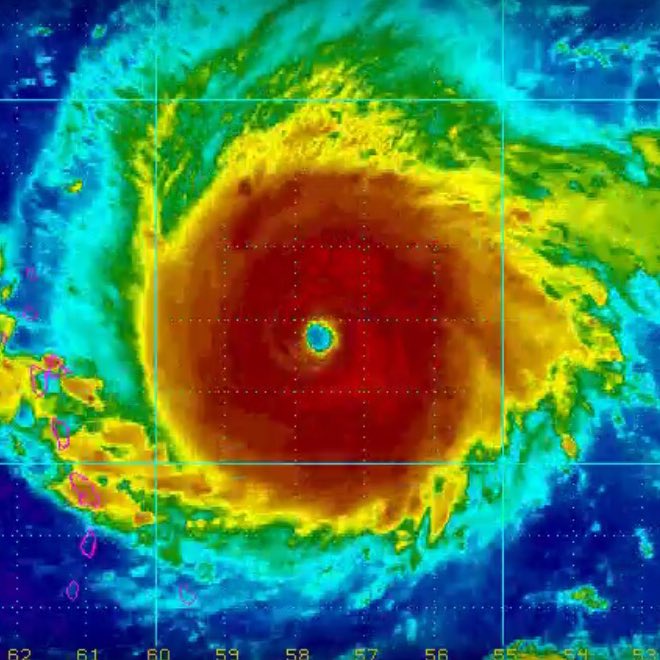 Irmacane's tweet image. #NewProfilePic 😺😺😺😺😺