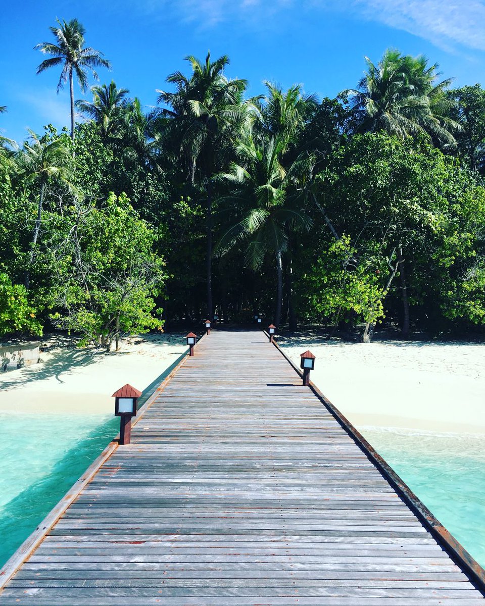 pbmaldives's tweet photo. Way to Paradise..

#Paradise #Tropicalisland #Maldives #Indianocean #Turquoisewater #Whitesand #Getaway #Islandlife #Takeabreak #Summervibes https://t.co/Bqz4jboas5