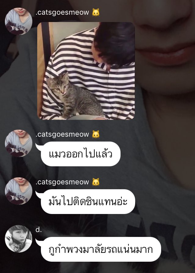 kiimiie9419's tweet photo. รอบนี้พี่ชินชนะเด้อ 5555555 #ศาสดากิม https://t.co/ZDMndPyxjm