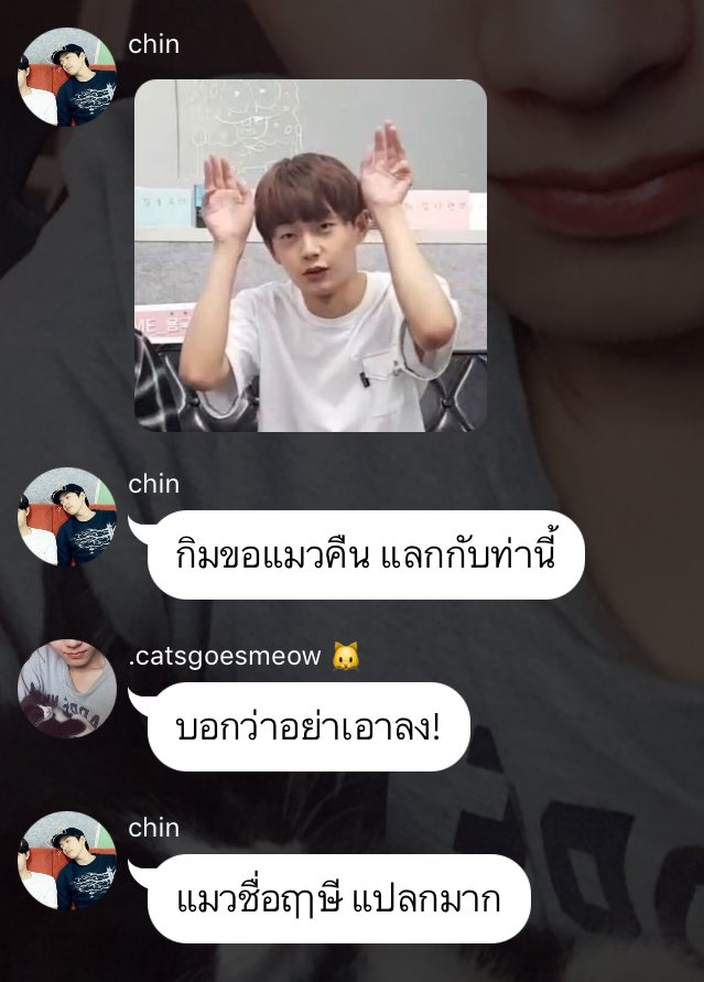 kiimiie9419's tweet photo. รอบนี้พี่ชินชนะเด้อ 5555555 #ศาสดากิม https://t.co/ZDMndPyxjm