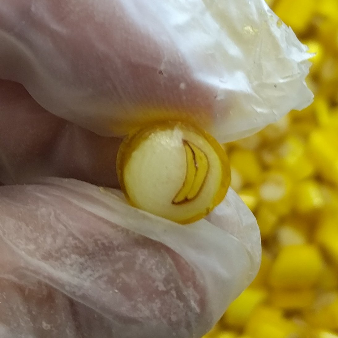 LoftyPursuits's tweet photo. Candy build of the day. Even more banana! #loftypursuits #ihearttally #publicdisplaysofconfection #candy https://t.co/5UmWc3cSzI