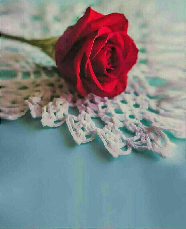 *لا تترك أي شيء في قلــ❤ـبك*
*ضد أحد .. سامح واغفر وتجاهل واحسن الظن .. فالحياة لحظات تستحق أن تعيشها براحة* !!