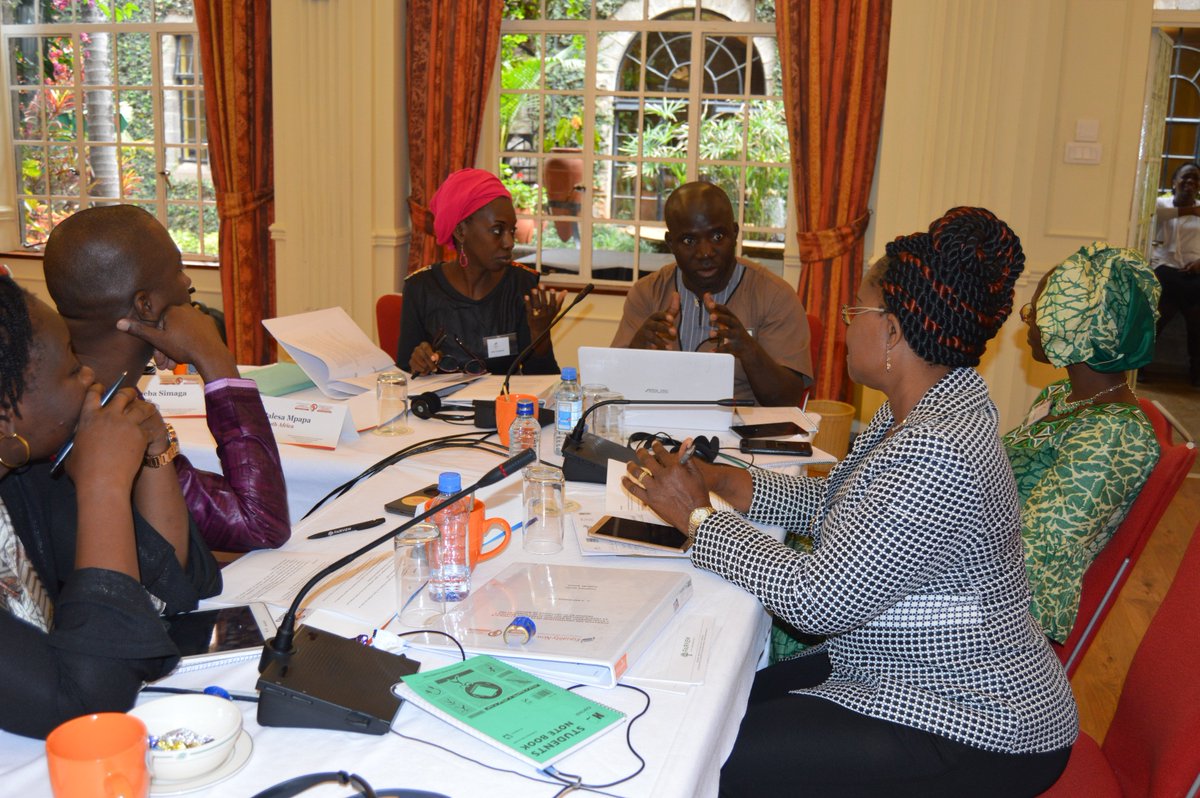 SOAWR's tweet photo. Equality Now #ShadowReporting training day 2, is your country represented? Session facilitated by Commissioner Lawrence Mute. #WomenRights https://t.co/URENZZnVeH