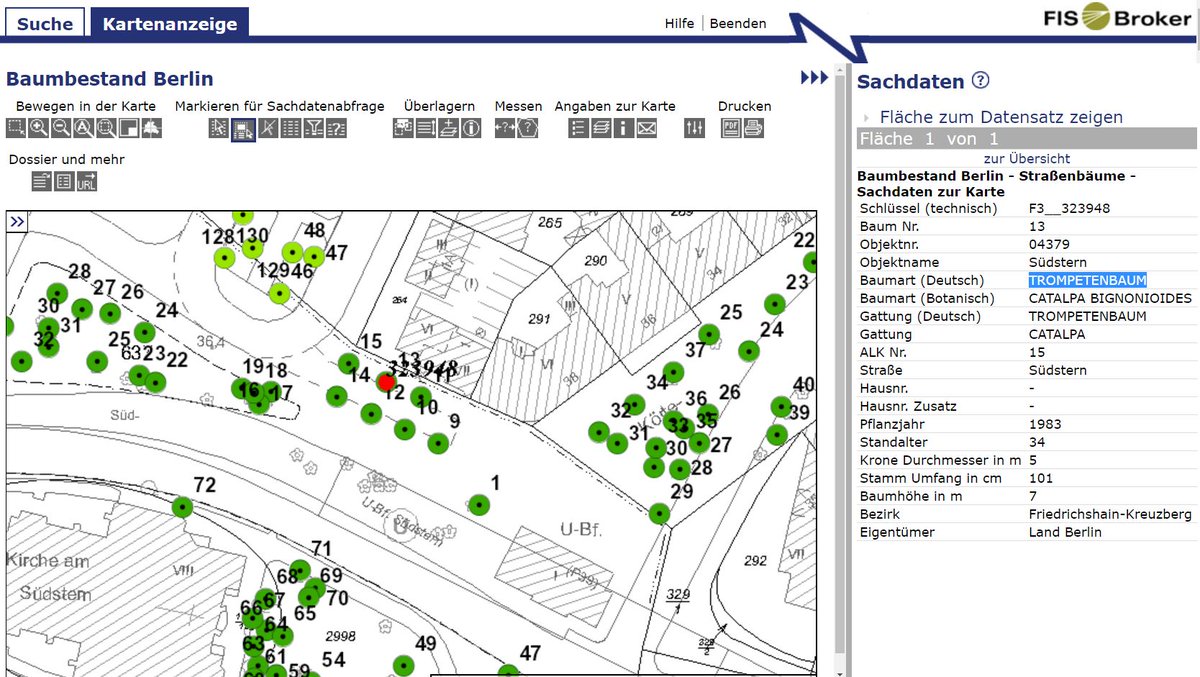 If U want to find out what trees grow in UR street in #Berlin, use this brilliant map at goo.gl/78muWm . My answer was: cigartree🌳