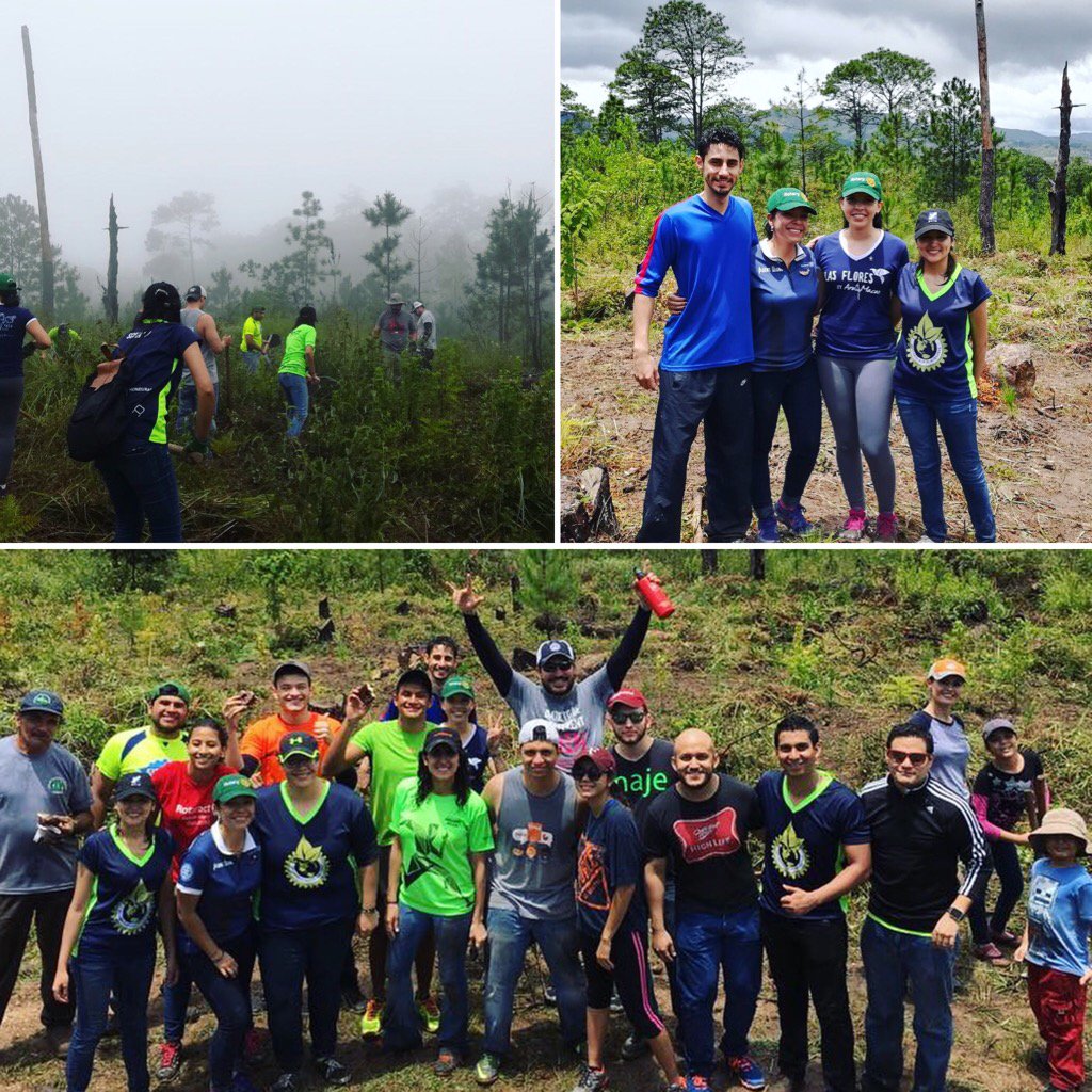 RtcVillaReal's tweet photo. #teamvillareal en la Jornada de Reforestación de Kaputz #pledgetoplant #rotaractverde #plantatonhn #rotaract50 https://t.co/D71C6U0uSd