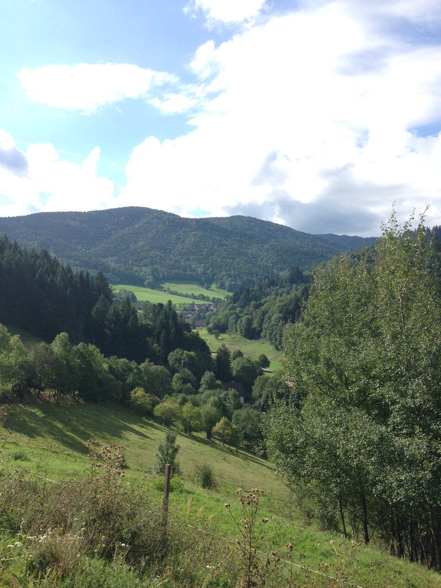 charlesnock's tweet photo. Nice day to teach forest structure #unifreiburg #blackforest #geobotany https://t.co/MMloGFYCzn