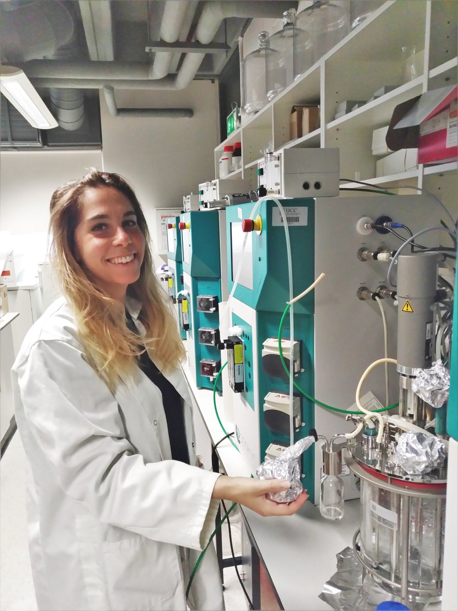ChassyProject's tweet photo. Look who's back!! Busy day here in #CHASSY HQ - Valentina and Noemi setting up fermenters for their 1st K. marxianus #chemostat experiments https://t.co/NxKZsWsHNv