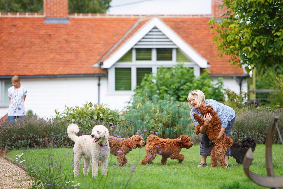 SaraGreenPR's tweet photo. Love this pic of Jacqui at #LetheringhamWaterMillCottages. This has to be the most #dogfriendly #holiday accommodation ever! #BeDogFriendly https://t.co/q9BSklWrQ5