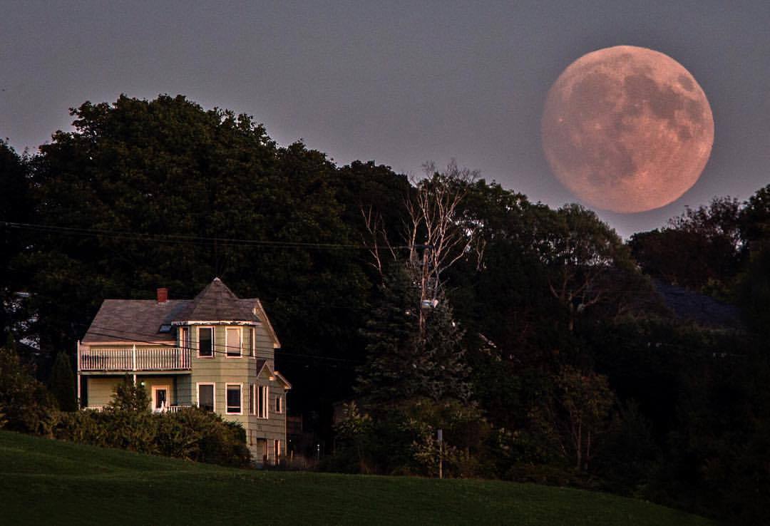 chronicleherald's tweet image. Moonrise over Dartmouth on Monday night. Photo by @real_timbophoto