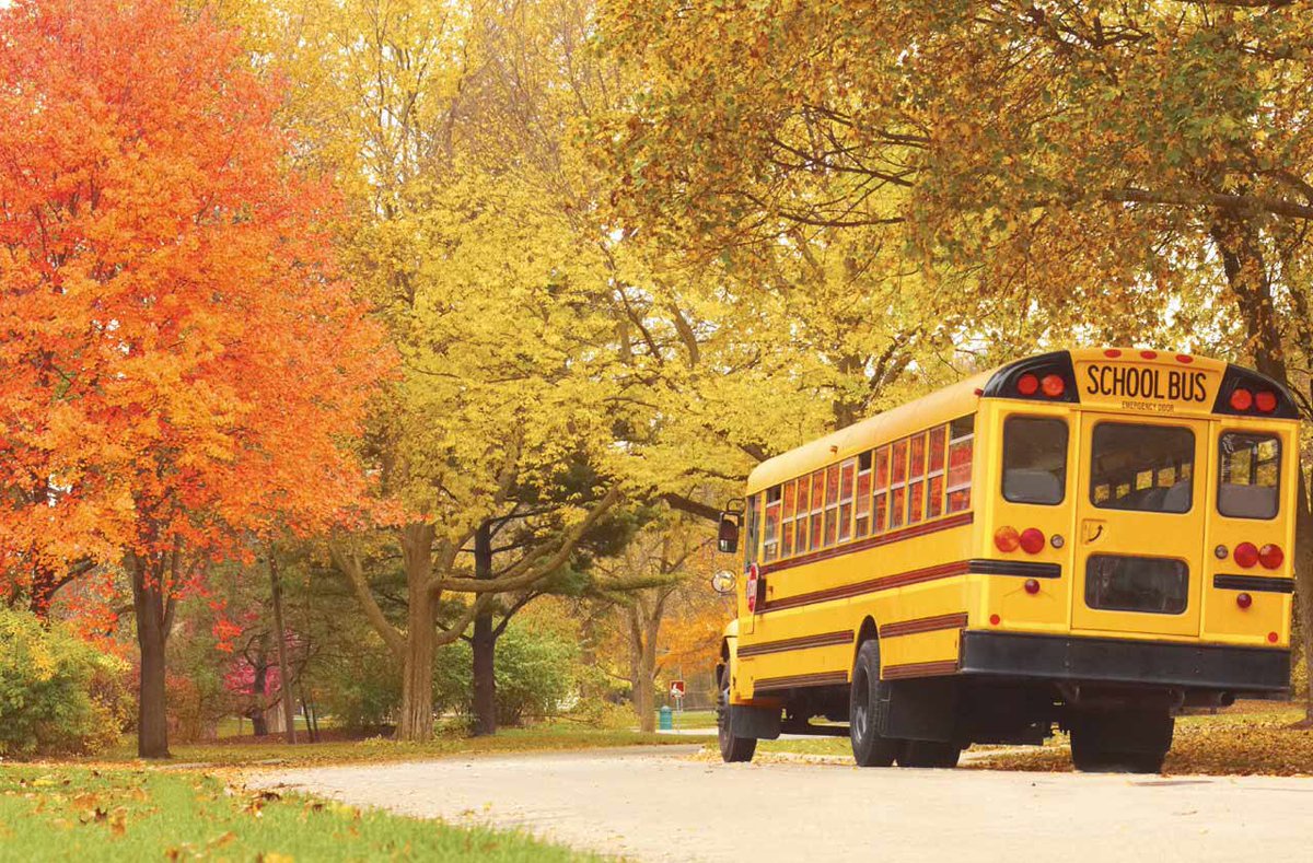 1ChristmasCheer's tweet photo. Wishing a happy #firstdayofschool to all the kids going back to school today! Have a great days kids!! 🍂🚌✂️✏️📚 🍁#backtoschool2017 https://t.co/qLW6inu7dV