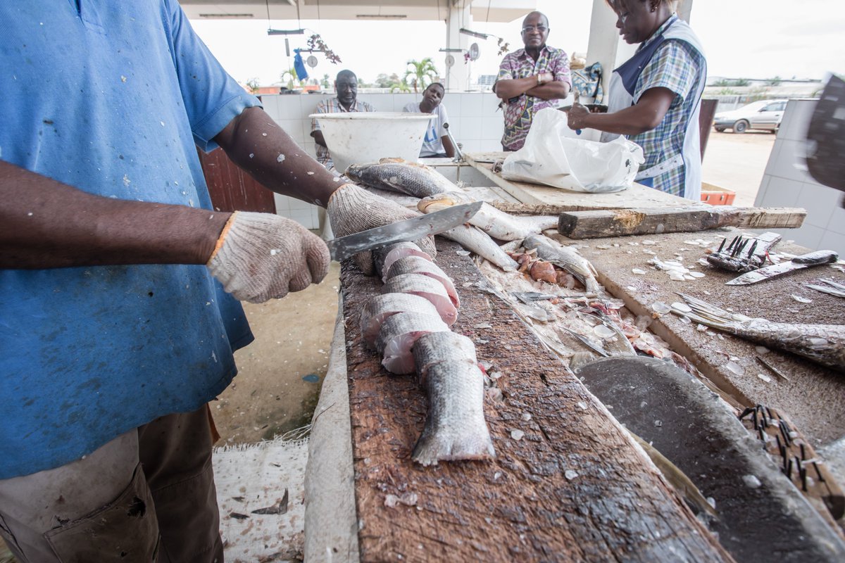 le #CAPAL participe à la lutte contre la vie chère et la maitrise des prix du #poisson frais à #Libreville.#Gabon #pêche