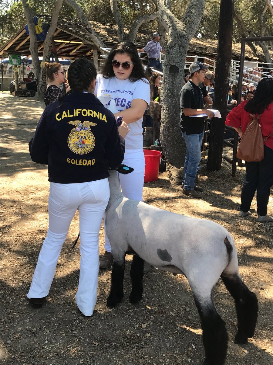 soledadffa's tweet photo. Thank U to parents, sisters, members and community for a supportive and successful #MCF2017 https://t.co/lXABQMKFp9