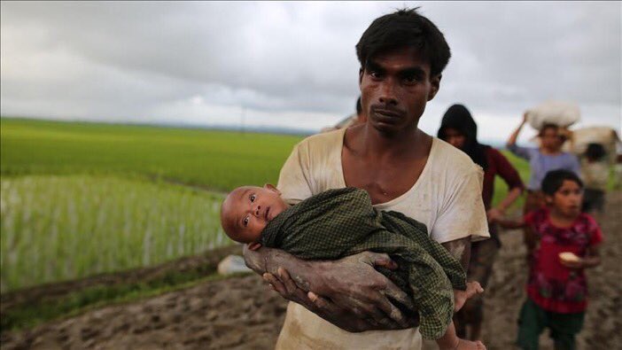 shamel__news's tweet photo. ارتفاع أعداد المسلمين الروهينغيا الفارين الى بنغلاديش من المذابح الى 123 ألفا خلال 10 أيام https://t.co/M509mzMOey