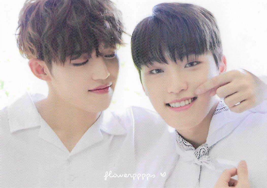 flowerpppps__'s tweet photo. [scan]♡ ♡ #DiamondEdgeinJapan   photocard ♡ ♡ #seventeen #세븐틴 #Diamond_Edge #DiamondEdge #scoups #에스쿱스 #エスクプス #dino #leechan #chan #디노 https://t.co/vaM2u4n7mF