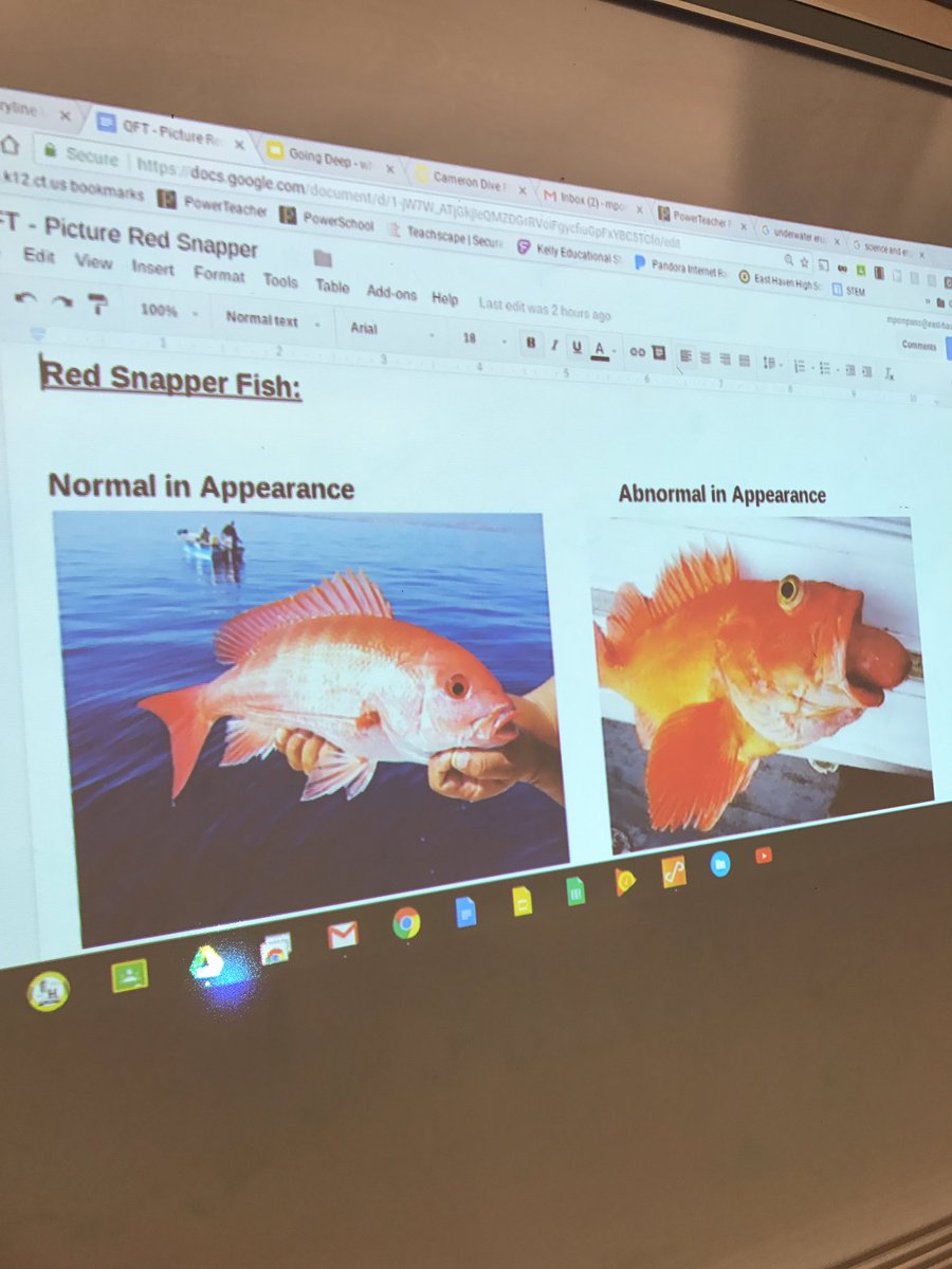 MPompanoScience's tweet photo. What happened to this fish? #NGSSphenomena #SEPAskingquestions #studentsdothework #WeareEHPS https://t.co/spQOy1Q7hd