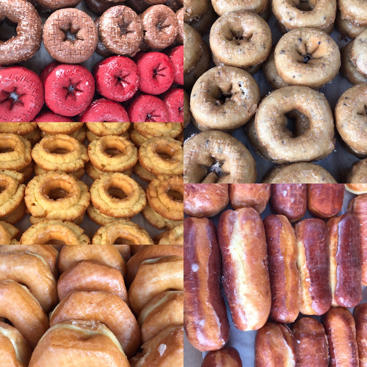 Free donuts in Speakers Circle today from Donut D-light! <a href="/FreeFoodMizzou/">Free Food at Mizzou</a> #brooksidelovesfood