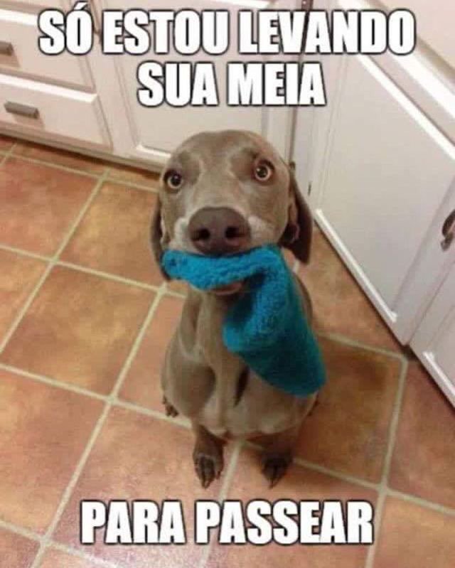 Olha que lindo