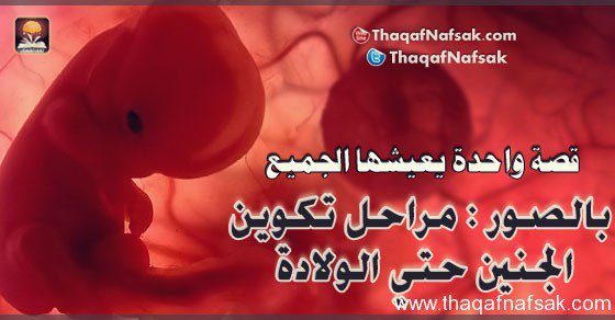 abadeothman96's tweet photo. #قروب_قمر_تويتر
#السمو_للدعم
#الحلم_للدعم
#لمة_الاحباب_للاضافات
#نبض_الحياة_للدعم https://t.co/KcwiW8D69C