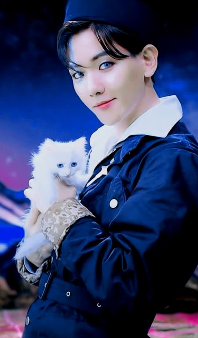 KTWT — CATS + BAEKHYUN Icons