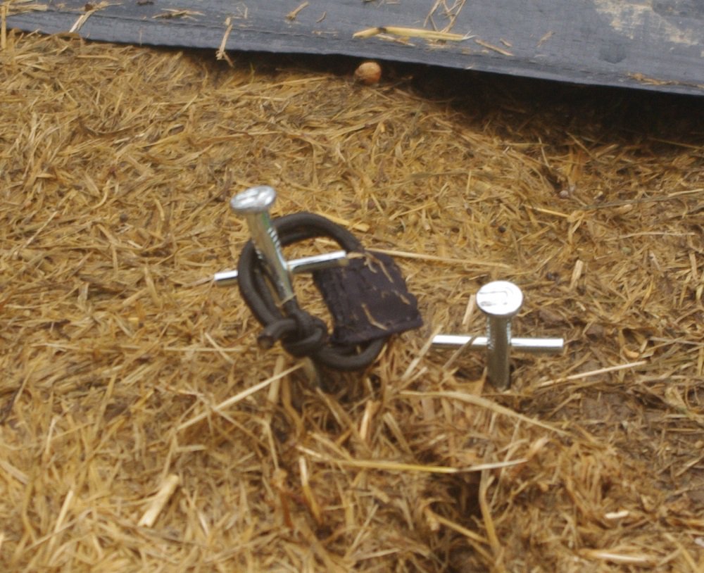 tekststroom's tweet photo. Wel opgeladen, maar weggewaaid van de camping, ratelen mijn vingers inmiddels weer over de toetsen! https://t.co/9IaitK2jYh