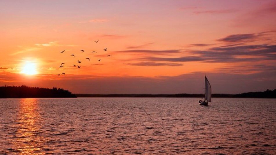 YourGeraldine's tweet photo. Inside any deep asking is the answering. ~
✫¸.•´ ⁀⋱‿✫
#Rumi #quote
#innerdirection #Zen https://t.co/StabPDIDez