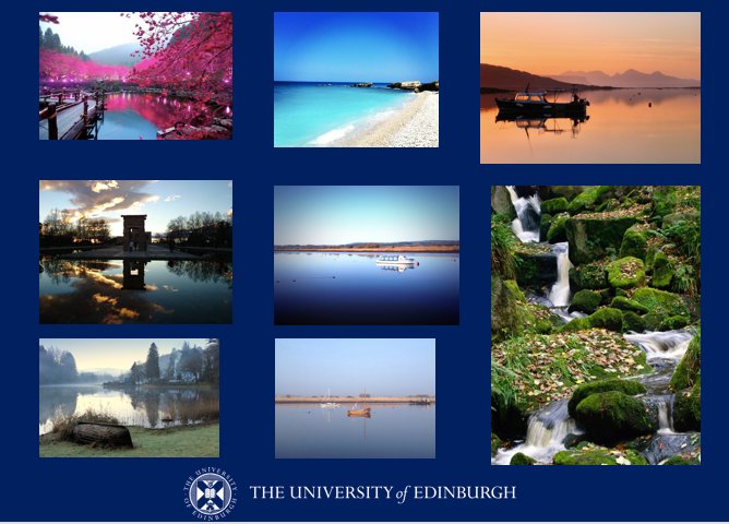TheBotanics's tweet photo. Explore what is soothing about nature at #ProjectSoothe exhibition, opens Friday. A collaboration with @EdinburghUni https://t.co/YMXH4kGGVJ https://t.co/oszPqtxPtO