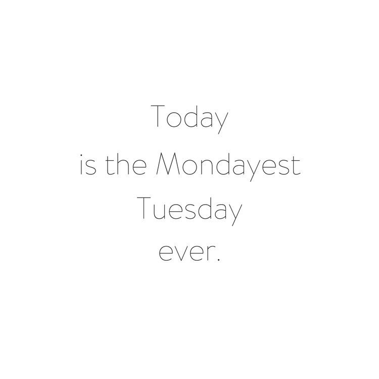 pinkprobeauty's tweet photo. This. 😴😴 #Tuesday #tuesdaythoughts #pinkprobeauty #pinkpro #beautydistributor #beautypro #beautyproducts #beauty https://t.co/CElijN2SD3