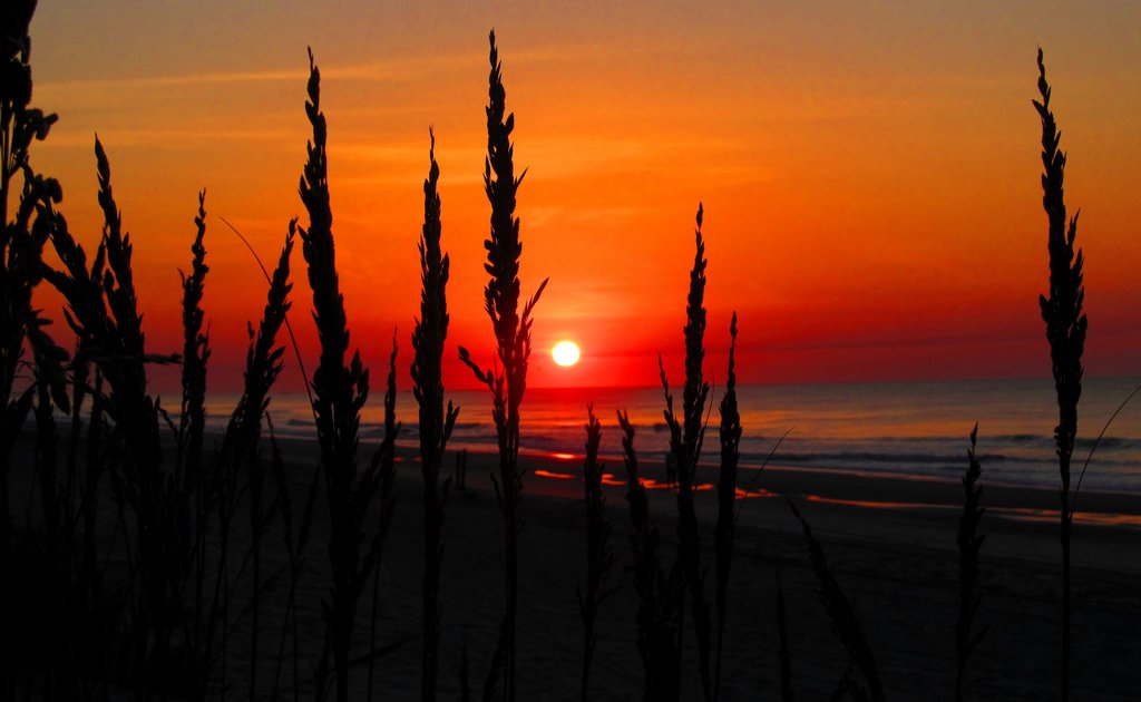 HVAC_TCM's tweet photo. #MyrtleBeachSC Sunrise Grass | by David N Cooper #MyrtleBeach #HVAV #HVACExperts #MyrtleBeachHVACExperts https://t.co/AKFdLi1xj6