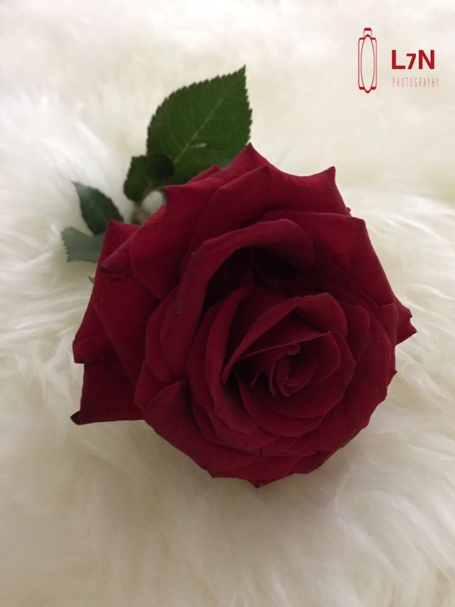 GP_algaseer's tweet photo. دعـم خاٱص🌸 ➧❏!🦅🌦💯
❖﴿  #الجـاسر_للإضافات❥ ﴾❖ 
🥀_____🦅👑🦅_____🥀
 @matalaqq
@tn_10k
@Alqaisi14Q 
@gaisy6
@3z7__
@a__s__y_
@a7md_ragb
@amg7100 https://t.co/BpJSWzhlwW