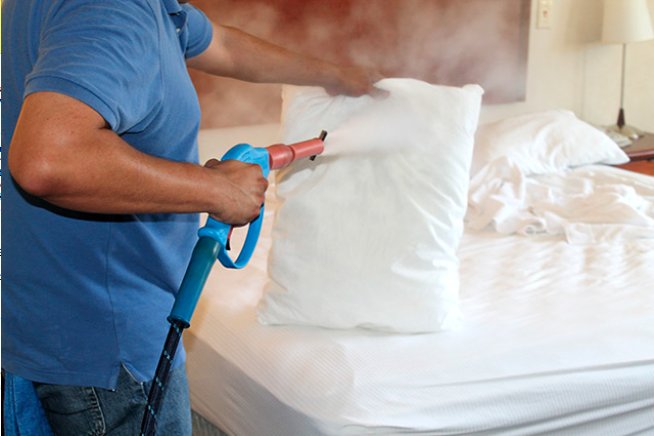 DSGequipment's tweet photo. Sleep tight. With Steam, you won't let the bedbugs bite either. https://t.co/yxlPZrhmTc #weknowclean #steam #steamsaves #bedbugs https://t.co/fPJsnEwPBx