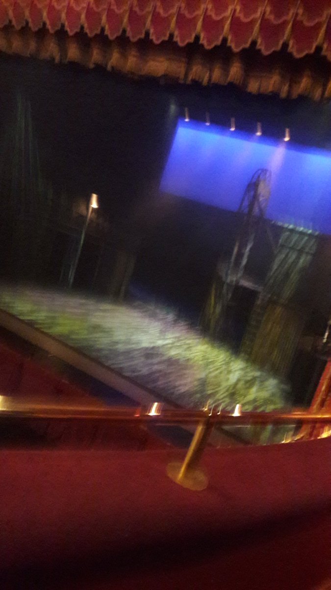 Miss Laura Bill tweet media